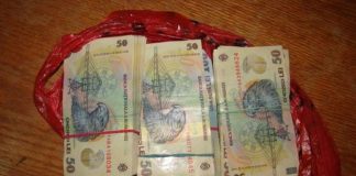 A găsit aproape 300 de milioane de lei vechi pe Cuza Vodă, într-o sacoșă