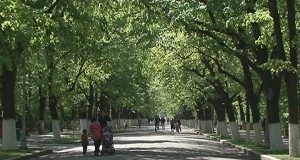 Încă un pas spre preluarea pădurii Crâng de către municipalitatea buzoiană