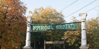 Solicitare a consilierului Ionescu cu privire construcțiile din Crâng