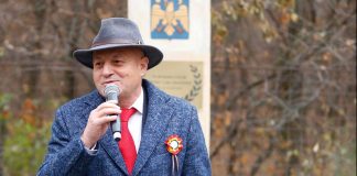 Mesajul președintelui CJ, Petre Emanoil Neagu, de Ziua Națională