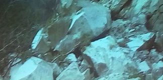 Drum forestier din comuna Mânzălești, blocat în urma seismului din luna octombrie