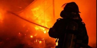 Sute de animale moarte după un incendiu izbucnit la Stâlpu