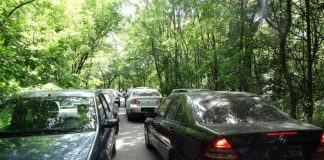 Se reactualizează taxele de intrare în Crâng. Viceprimarul Ionuț Apostu consultă cetățenii