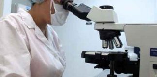 Aproape toate focarele de pestă porcină africană din gospodării, închise. La mistreți, continuă să se extindă