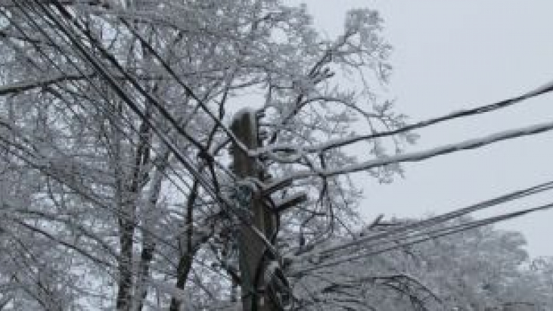 13-localitati-din-vaslui-au-ramas-fara-curent-electric-dupa-ce-mai-multi-copaci-cazuti-au-avariat-unele-linii-de-medie-tensiune-129254