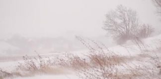 Probleme în județ din cauza zăpezii și a viscolului