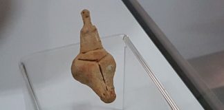 Statueta antropomorfă de la Lipia, veche de 6.000 de ani, a fost expusă la Muzeul Județean