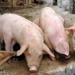 93E79BEF-2CBB-47F3-86E4-C2509781714D