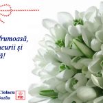 5d188256-a6c9-4b45-bd5d-4fd2479e0da9