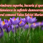 f9e45a68-0e71-489e-8cd6-e2e1e97266f7