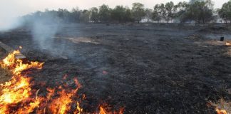 12 incendii de vegetație uscată în doar 2 zile de vreme frumoasă