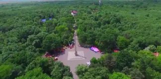 Prima hotărâre pentru preluarea pădurii Crâng