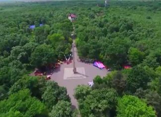 Prima hotărâre pentru preluarea pădurii Crâng