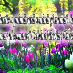 5107763f-3a00-454f-bc2c-f653f2bf1e06