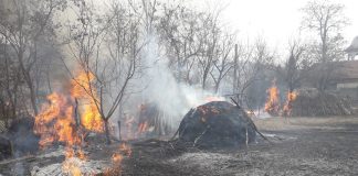 Pompierii, în alertă. 16 incendii de vegetație uscată, într-o singură zi