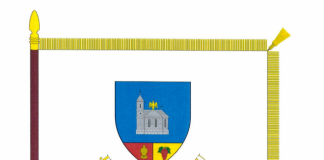 Județul Buzău va avea un steag propriu