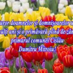 a9b1cdc2-439f-4913-a130-915bf2827747