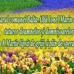 e4243bab-8199-480b-a24f-bbeb6b8867b1