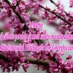 fc37225e-4665-414e-bfad-6fa09978d87d