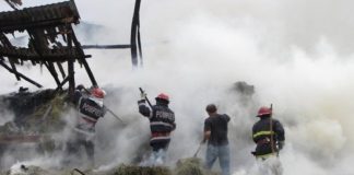 Sute de animale moarte într-un incendiu la Lopătari