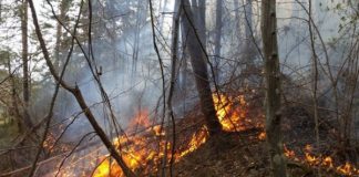 Panică pe Valea Slănicului. Incendii necontrolate, pericol pentru populație