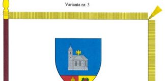 Consultare publică privind modelul steagului județului Buzău