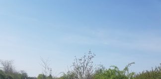 Accident grav la Ciobănoaia. Un bărbat și-a pierdut viața