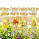 b3e42e6c-8c3e-43d0-aeb8-c5672313ddf0