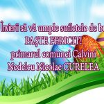 cb2bfc57-9b7c-43b7-8c1d-b20367a701d7