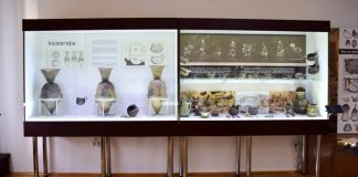Obiecte vechi de 5.000 de ani, în Colecția de arheologie a Muzeului Județean Buzău