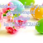 fbc89b50-0fc1-4bae-958e-9e1422c16ccc