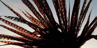 Invitat surpriză la Noaptea Muzeelor, la Buzău