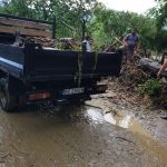 BCDDC3C1-C1B9-4015-9F7E-6E35168F6B2F