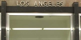 Ce afaceri dețineau bărbații decedați în accidentul aviatic de la Nehoiu