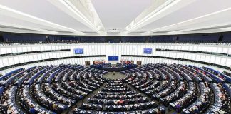 Cine sunt aleșii care vor reprezenta România în Parlamentul European