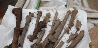 Oseminte umane descoperite în curtea Arhiepiscopiei Buzăului şi Vrancei