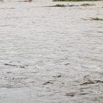 363B9C32-B131-42BC-BED8-B2B19B44CDA9