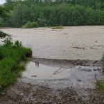 EFEEDF05-D709-42E7-B3C7-051670C06994