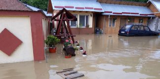 Ploile au făcut ravagii la Nehoiu. Curți și străzi inundate în câteva minute