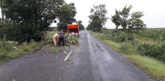 Vântul puternic a provocat pagube însemnate în județ. Autoritățile sunt în alertă