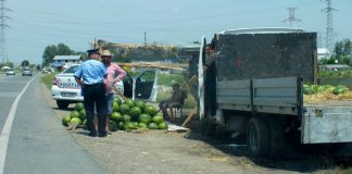 Vânzătorii de pepeni de pe marginea șoselelor, verificați de polițiști