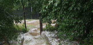Ploaia și grindina fac prăpăd în județul Buzău