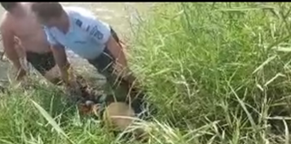Bătrân salvat din râul Buzău de către jandarmi
