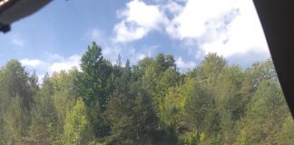 Nicoleta a fost găsită după o noapte petrecută în sălbăticie