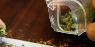 Tineri drogați, descoperiți în Parcul Crâng