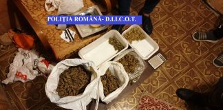 13 traficanți de droguri, reținuți la Buzău