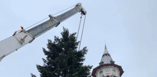 Povestea bradului de Crăciun, din Piața Daciei