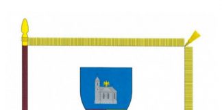 Steagul propriu al județului Buzău, aprobat în ședință de Guvern