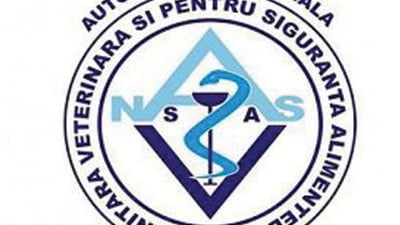 ansvsa