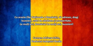 Mesajul prefectului Carmen Ichim, de Ziua Națională